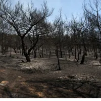 fotia-lesvos