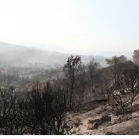 fotia-lesvos
