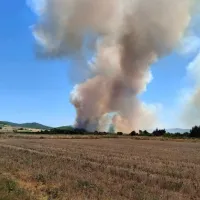 fotia evros