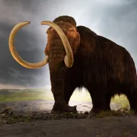 mamouth