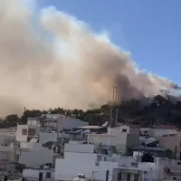 salamina