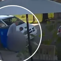 apagogi_hpa