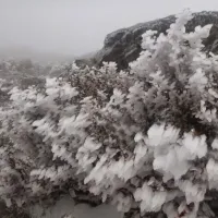 Χιόνια