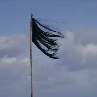 Σημαία από κομμένα μαλλιά