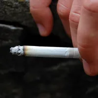 Tsigaro