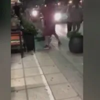 Κακοποίηση σκύλου στα Ιωάννινα