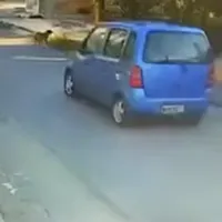 θεσσαλονικη-σκυλος