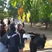 μαρουσι-φασιστες