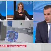 πλεύρης