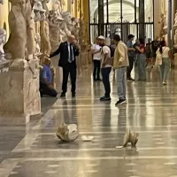 αγάλματα Βατικανό τουρίστας
