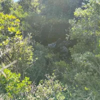 Αυτοκίνητο έπεσε σε χαράδρα
