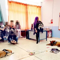 σκυλάκια σχολείο