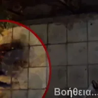 βιασμός νίκαια