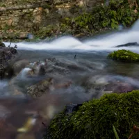 potamos_louros