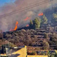 Φωτιά στην Αίγινα