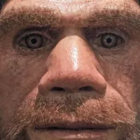 neanderthal