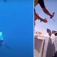 δύτης