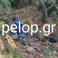 εξαφάνιση