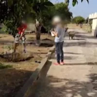 kivotos_tou_kosmou