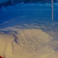 tarandos_alaska