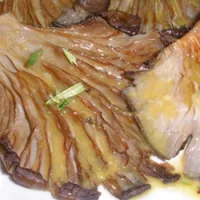 manitaria_plevrotous