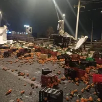 Πορτοκάλια στον Κηφισό