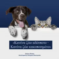 αδέσποτα ζώα