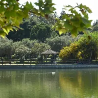 Antonis_Tritsis_Metropolitan_Park_Athens