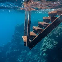 diving