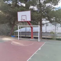 ζωσιμαια