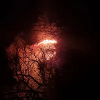 Φωτιά Φθιώτιδα