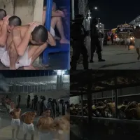 Μεταφορά κρατουμένων στο Ελ Σαλβαδόρ