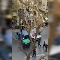 γερανος ελασ