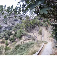 Άνδρος