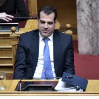 Πλεύρης