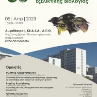 Afisa_Ekseliksi
