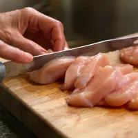 salmonela