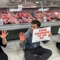 vegan