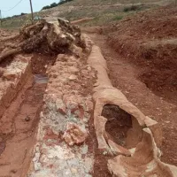 αγωγός
