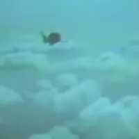 ατύχημα αλεξιπτωτιστή