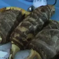 κολοκασι