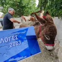 Εκλογές με γαϊδουράκι
