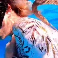 Περικυκλώθηκε από δηλητηριώδες θαλάσσιο φίδι 