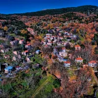 Παλαιά Βίνιανη 