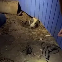 skilaki_texas