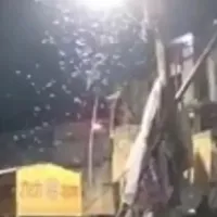  «Βροχή» από λευκά σκουλήκια στην Ινδία
