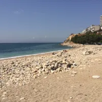 φρεατύδα