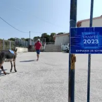 Πήγε να ψηφίσει μαζί με το γαϊδουράκι του
