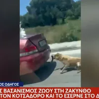 Απίστευτη κτηνωδία: Έδεσε σκυλάκι στον κοτσαδόρο αυτοκινήτου και το έσερνε