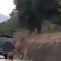κατσίκα ζάκυνθος